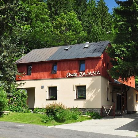Chata Bajama Bedřichov Esterno foto