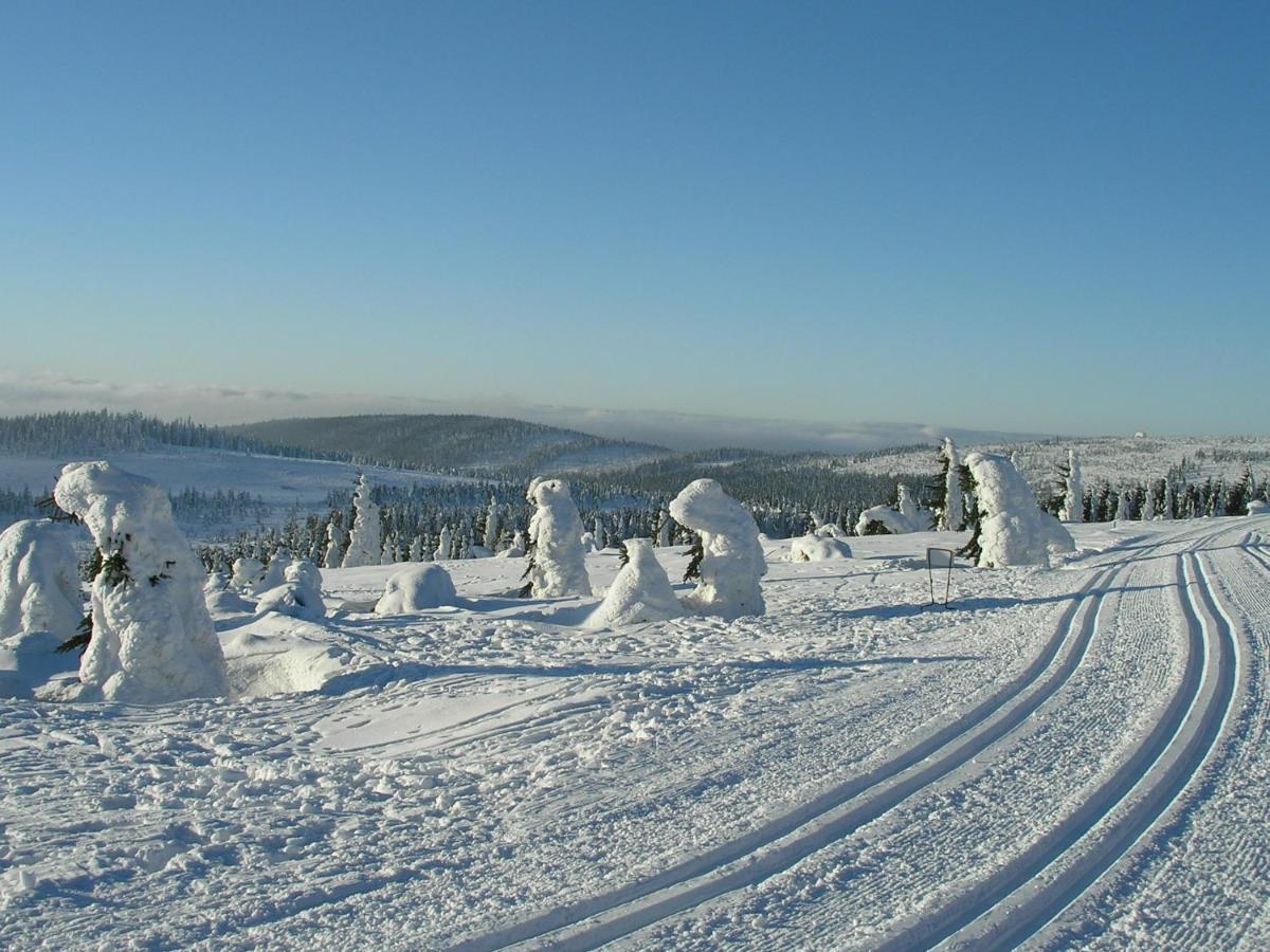 Chata Bajama Bedřichov Esterno foto